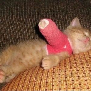 Meet your Posher, Xixi